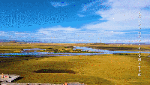 3f916adea5cf47d5a9f36928e106da79