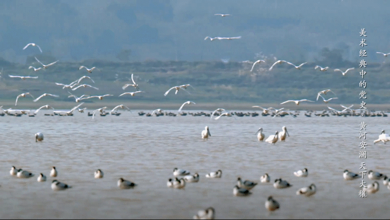 42bcff961f7a42259e2f279dcadf0107