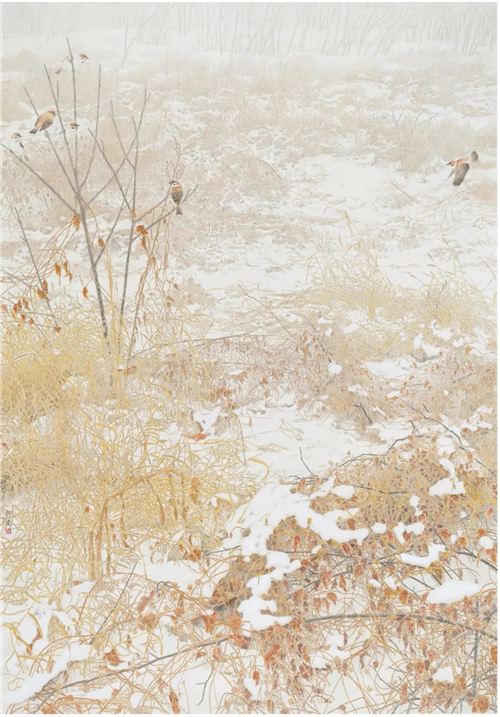 4965f5f01d5049209ccad15085c4b60f