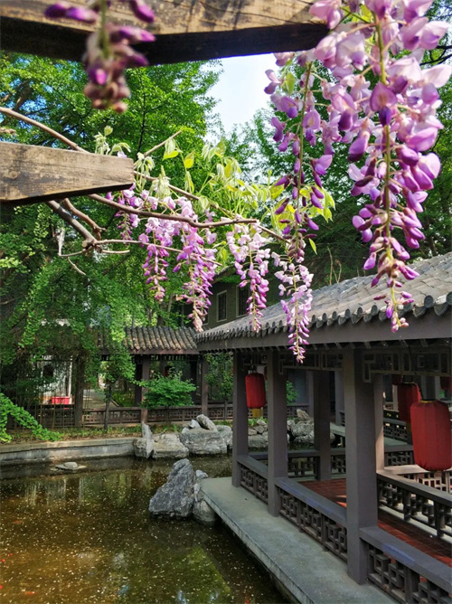 297c89d060fa48e3820a20152a489387