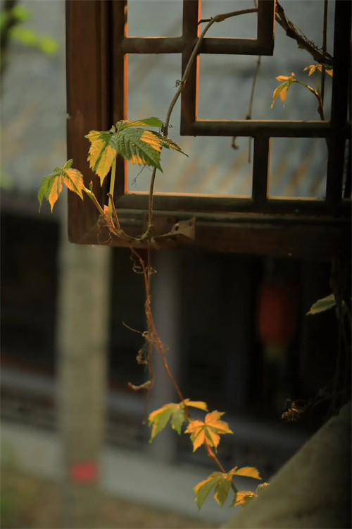 687d4bcc35e84162b96d0d49d4cadd3a