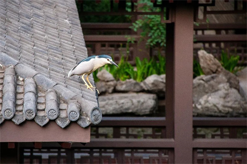 7dd2ca80d09643058731b1505d19b408