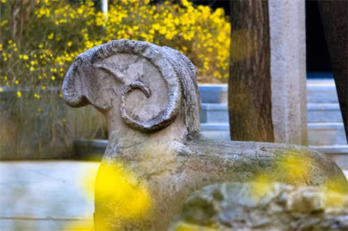 8696b05276fb4194b90dcfb3474f2567