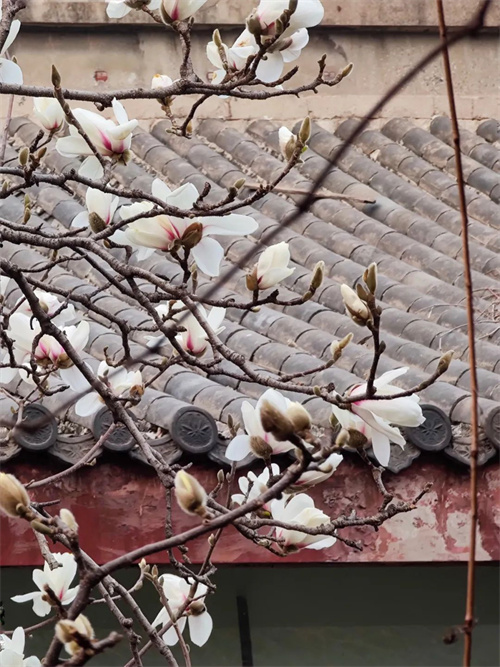 90da19ce2371496da2c6474d3c2509fc