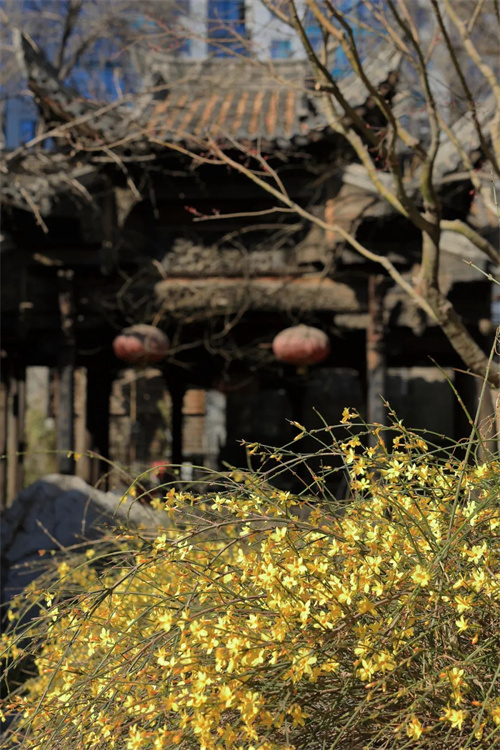 b99773ee891b4098993cc3a22ca2634b