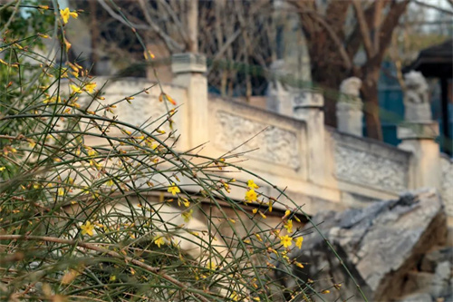 bea613f296554894922382c37ce7693e