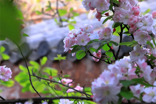 c682a16e2362478d8cee7ce883fa6e91