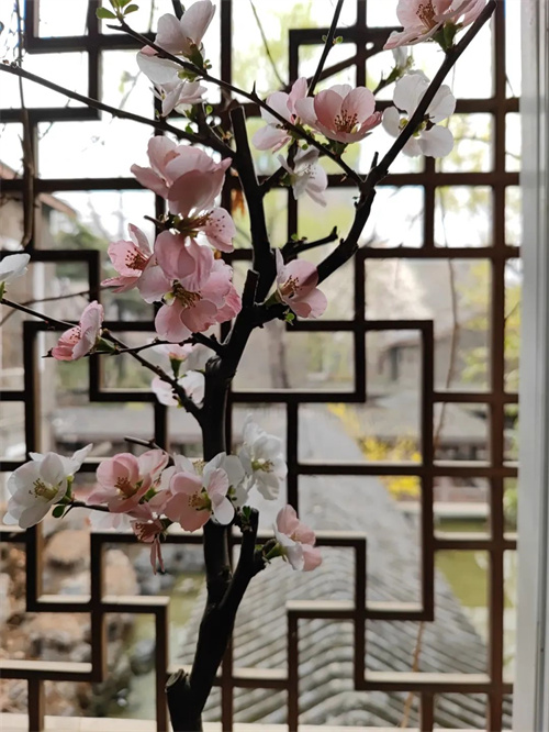 f6cd49f1580b4686bd19829d4642f2ce