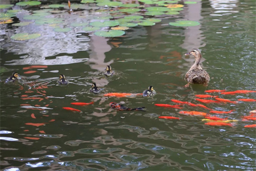 f9fefde5e901473990273f10324c9df5